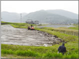 田植え