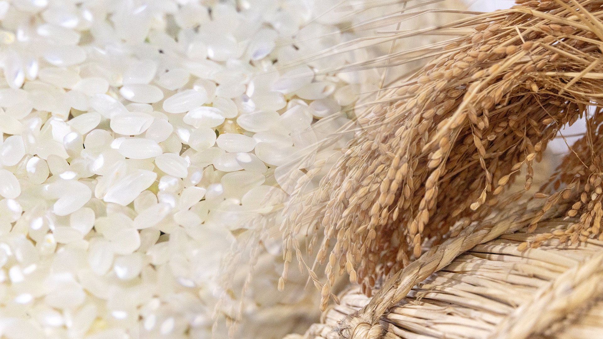 スライドショー