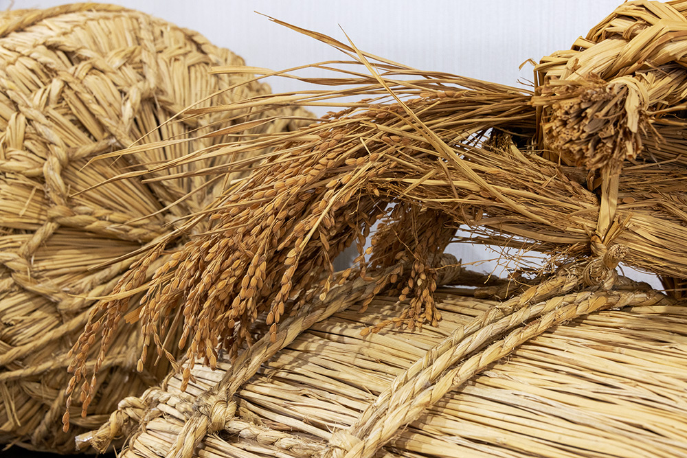 スライドショー